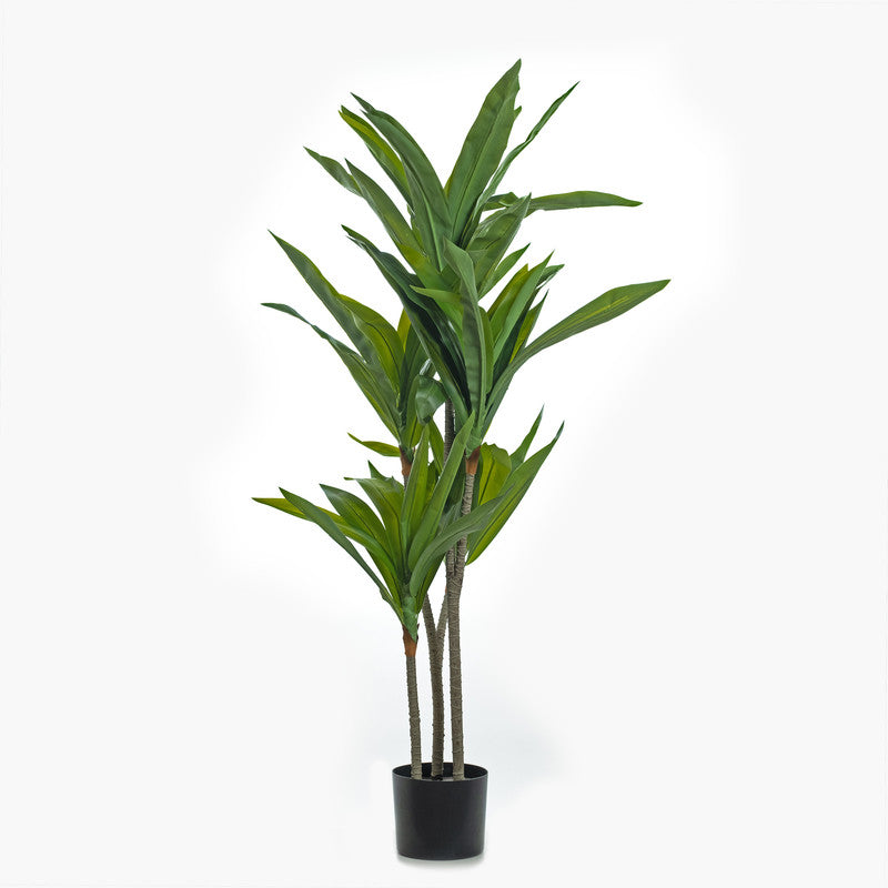 120cm Real Touch Draceana Tree